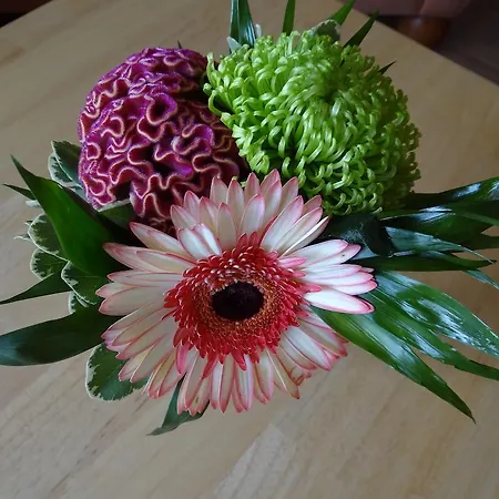 Apartamento Glueck Auf